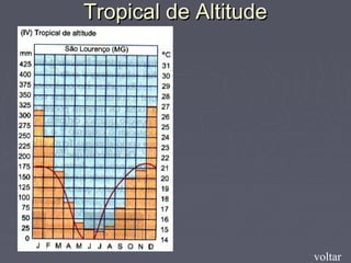 Tropical de AltitudeTropical de Altitude
voltar
 