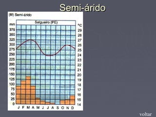 Semi-áridoSemi-árido
voltar
 