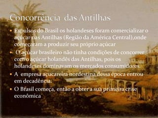 Expulsos do Brasil os holandeses foram comercializar o açúcar nas Antilhas (Região da América Central),onde começaram a produzir seu próprio açúcarO açúcar brasileiro não tinha condições de concorrer com o açúcar holandês das Antilhas, pois os holandeses dominavam os mercados consumidores.A  empresa açucareira nordestina dessa época entrou em decadência.O Brasil começa, então a obter a sua primeira crise econômica Concorrência  das Antilhas