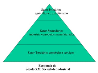 Setor Primário:  agricultura e extrativismo Setor Secundário:  indústria e produtos manufaturados Setor Terciário: comércio e serviços Economia do  Século XX: Sociedade Industrial 