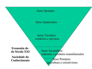 Setor Primário:  agricultura e extrativismo Setor Secundário:  indústria e produtos manufaturados Setor Terciário:  comércio e serviços Economia do  do Século XXI Sociedade do Conhecimento Setor Quaternário Setor Quinário 