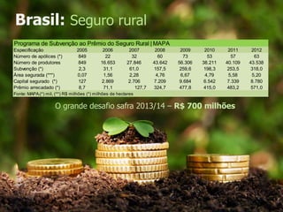 Brasil: Seguro rural
Programa de Subvenção ao Prêmio do Seguro Rural | MAPA
Especificação 2005 2006 2007 2008 2009 2010 2011 2012
Número de apólices (*) 849 22 32 60 73 53 57 63
Número de produtores 849 16.653 27.846 43.642 56.306 38.211 40.109 43.538
Subvenção (*) 2,3 31,1 61,0 157,5 259,6 198,3 253,5 318,0
Área segurada (***) 0,07 1,56 2,28 4,76 6,67 4,79 5,58 5,20
Capital segurado (*) 127 2.869 2.706 7.209 9.684 6.542 7.339 8.780
Prêmio arrecadado (*) 8,7 71,1 127,7 324,7 477,8 415,0 483,2 571,0
Fonte: MAPA.(*) mil, (**) R$ milhões (*) milhões de hectares
O grande desafio safra 2013/14 – R$ 700 milhões
 