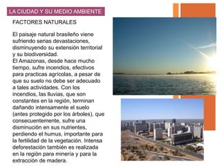 LA CIUDAD Y SU MEDIO AMBIENTE
 FACTORES NATURALES

 El paisaje natural brasileño viene
 sufriendo serias devastaciones,
 disminuyendo su extensión territorial
 y su biodiversidad.
 El Amazonas, desde hace mucho
 tiempo, sufre incendios, efectivos
 para practicas agrícolas, a pesar de
 que su suelo no debe ser adecuado
 a tales actividades. Con los
 incendios, las lluvias, que son
 constantes en la región, terminan
 dañando intensamente el suelo
 (antes protegido por los árboles), que
 consecuentemente, sufre una
 disminución en sus nutrientes,
 perdiendo el humus, importante para
 la fertilidad de la vegetación. Intensa
 deforestación también es realizada
 en la región para minería y para la
 extracción de madera.
 