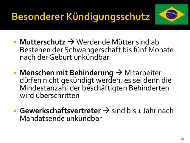 Wenn bei der Schildkröte die dunklen Flecke auf der Haut