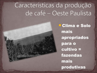Clima e Solo
mais
apropriados
para o
cultivo =
fazendas
mais
produtivas
 