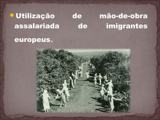 Utilização de mão-de-obra
assalariada de imigrantes
europeus.
 