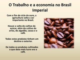 O Trabalho e a economia no Brasil
               Imperial
 Com o fim do ciclo do ouro, a
     agricultura volta a ser
     importante no Brasil.

  Houve a volta do cultivo do
    açúcar, além do cultivo do
   arroz, do algodão, cacau e o
               café.

Todos estes produtos tinham um
        destino o exterior.

De todos os produtos cultivados
   o que dava mais lucro era o
              café.
 