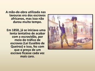 A mão-de-obra utilizada nas
  lavouras era dos escravos
   africanos, mas isso não
     durou muito tempo.

Em 1850, já se iniciava uma
  lenta tentativa de acabar
    com a escravidão, por
      meio do tráfico de
   escravos (Lei Eusébio de
   Queiroz) e isso, fez com
      que o preço de um
   escravo ficasse cada vez
          mais caro.
 