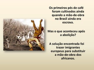 Os primeiros pés de café
 foram cultivados ainda
 quando a mão-de-obra
    no Brasil ainda era
         escrava.

Mas o que aconteceu após
        a abolição?

 A solução encontrada foi
      trazer imigrantes
  europeus para substituir
     a mão-de-obra dos
          africanos.
 
