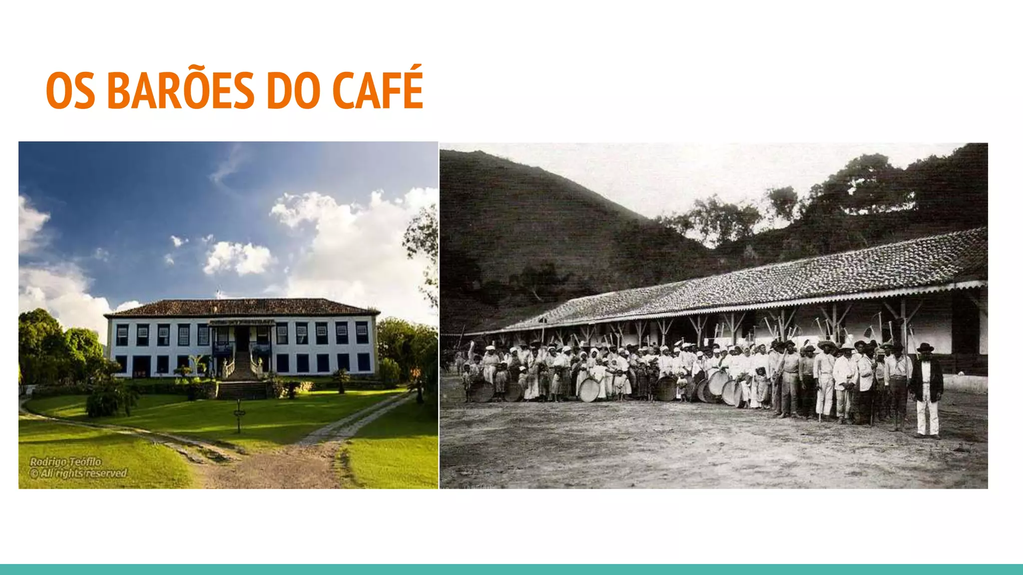 OS BARÕES DO CAFÉ
 