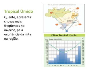 Tropical Úmido
Quente, apresenta
chuvas mais
freqüentes no
inverno, pela
ocorrência da mPa
na região.
 