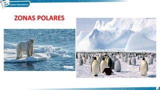 ZONAS POLARES
6
 
