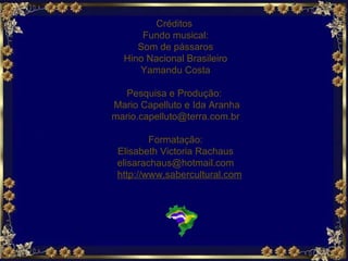 Créditos  Fundo musical: Som de pássaros Hino Nacional Brasileiro Yamandu Costa Pesquisa e Produção:  Mario Capelluto e Ida Aranha [email_address] Formatação: Elisabeth Victoria Rachaus  [email_address] http://www.sabercultural.com   