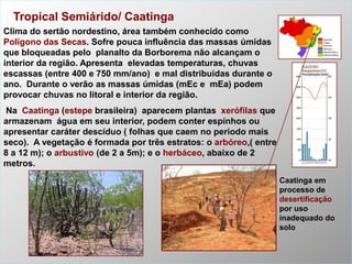 Tropical Semiárido/ Caatinga
Clima do sertão nordestino, área também conhecido como
Polígono das Secas. Sofre pouca influência das massas úmidas
que bloqueadas pelo planalto da Borborema não alcançam o
interior da região. Apresenta elevadas temperaturas, chuvas
escassas (entre 400 e 750 mm/ano) e mal distribuídas durante o
ano. Durante o verão as massas úmidas (mEc e mEa) podem
provocar chuvas no litoral e interior da região.
Na Caatinga (estepe brasileira) aparecem plantas xerófilas que
armazenam água em seu interior, podem conter espinhos ou
apresentar caráter descíduo ( folhas que caem no período mais
seco). A vegetação é formada por três estratos: o arbóreo,( entre
8 a 12 m); o arbustivo (de 2 a 5m); e o herbáceo, abaixo de 2
metros.
Caatinga em
processo de
desertificação
por uso
inadequado do
solo

 