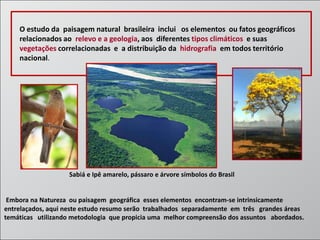 O estudo da paisagem natural brasileira inclui os elementos ou fatos geográficos
relacionados ao relevo e a geologia, aos diferentes tipos climáticos e suas
vegetações correlacionadas e a distribuição da hidrografia em todos território
nacional.

Sabiá e Ipê amarelo, pássaro e árvore símbolos do Brasil

Embora na Natureza ou paisagem geográfica esses elementos encontram-se intrinsicamente
entrelaçados, aqui neste estudo resumo serão trabalhados separadamente em três grandes áreas
temáticas utilizando metodologia que propicia uma melhor compreensão dos assuntos abordados.

 