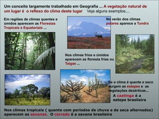 Um conceito largamente trabalhado em Geografia ... A vegetação natural de
um lugar é o reflexo do clima deste lugar Veja alguns exemplos....
Em regiões de climas quentes e
úmidos aparecem as Florestas
Tropicais e Equatoriais ...

No verão dos climas
polares aparece a Tundra

...

Nos climas frios e úmidos
aparecem as floresta frias ou
Taigas ...

Se o clima é quente e seco
surgem as estepes e as
vegetações desérticas...
A caatinga é a
estepe brasileira

Nos climas tropicais ( quente com períodos de chuva e de seca alternados)
aparecem as savanas. O cerrado é a savana brasileira

 