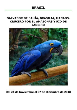 BRASIL
SALVADOR DE BAHÍA, BRASILIA, MANAOS,
CRUCERO POR EL AMAZONAS Y RÍO DE
JANEIRO
Del 24 de Noviembre al 07 de Diciembre de 2018
 