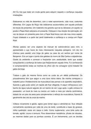 Ah! Eu tive que bater em muita gente para adquirir respeito e confiança naquelas
imediações.


Estávamos no mês de dezembro, com o natal aproximando, vida nova, costumes
diferentes. Em Lagoa de Roça não estávamos acostumados com aquela profusão
de trocas de presentes. Um malandro me garantiu que se eu deixasse um sapato na
janela o Papai Noel colocaria um presente. Coloquei o meu bicolor de estimação, em
vez de deixar um presente para mim o Papai Noel levou com ele meu único sapato.
Fiquei chateado e a partir daí perdi totalmente a confiança e a crença em Papai
Noel.


Afonso passou ser uma espécie de manual de sobrevivência para mim, a
apresentado o que havia de mais interessante naquelas paragens. Um dia me
chamou para assistir uma briga de galos na casa de um senhor por nome de
Benjamim. Era um lugar o ponto dos galistas do morro de São Carlos e adjacências.
Gostei do ambiente e comecei a freqüentar com assiduidade, tanto que acabei
conquistando a confiança de todos que freqüentavam aquela rinha. Fui conhecendo
e compreendendo todas as manhas do ofício até me consagrar como tratador de
galos de briga.


Tratava o galo da mesma forma como se cuida de um atleta profissional. Os
procedimentos têm que seguir a uma dura rotina diária. De manha começava o
trabalho para o fortalecimento da musculatura das pernas e do aparelho respiratório,
fazendo o galo pular sobre um tapete até ficar ofegante. A seguir refrescava-o com
banho de água natural seguido de um banho de sol. Logo após, o galo entrava no
passeador, um local de mais ou menos um metro e meio por oitenta centímetros,
dotado de um piso de areia para complementar o reforço da musculatura, ficando lá
geralmente das oito às onze da manha.


Voltava novamente à gaiola, agora para tomar água e alimentar-se. Sua refeição
normalmente acontecia por volta de uma da tarde, constituída a base de girassol,
milho quebrado, aveia em casca e leite. Como suplemento, uma torta extra de
tomate, agrião, couve e cenoura. Para desenvolver resistência, pílulas de robustez,
as mesmas dadas para os pombos correios. É um treinamento, com as devidas
 