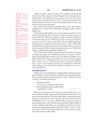 Brasil portuguese bible new testament