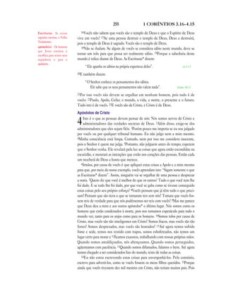 Brasil portuguese bible new testament