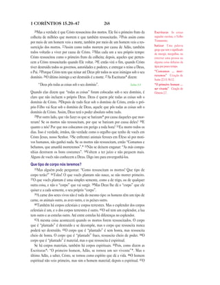 Brasil portuguese bible new testament