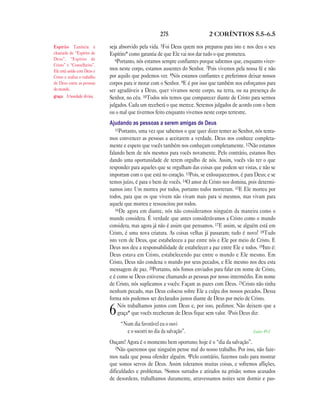 Brasil portuguese bible new testament