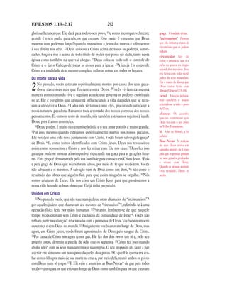 Brasil portuguese bible new testament