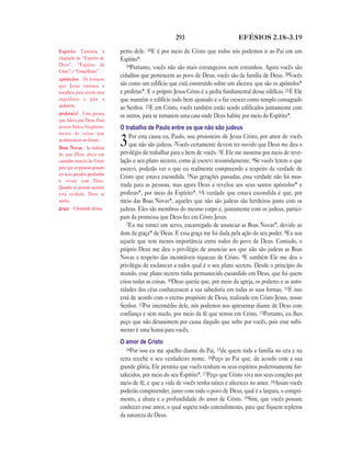 Brasil portuguese bible new testament