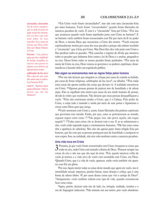 Brasil portuguese bible new testament