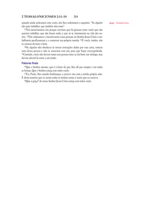 Brasil portuguese bible new testament