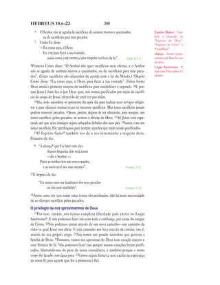 Brasil portuguese bible new testament