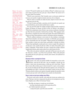 Brasil portuguese bible new testament