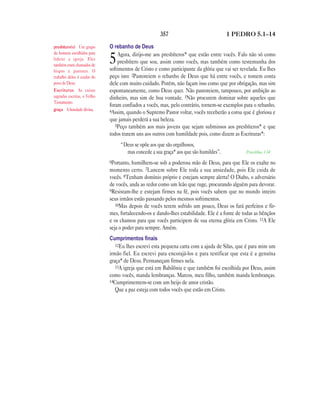 Brasil portuguese bible new testament