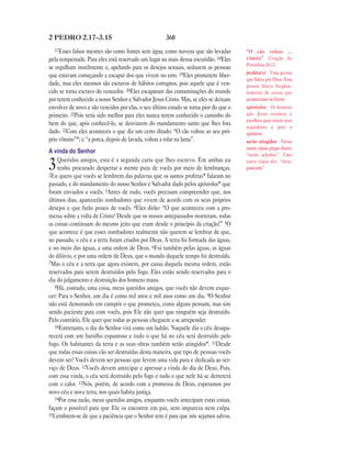 Brasil portuguese bible new testament