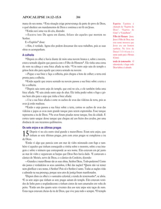 Brasil portuguese bible new testament