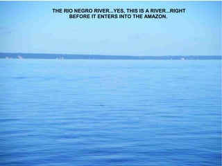 THE RIO NEGRO RIVER...YES, THIS IS A RIVER...RIGHT
      BEFORE IT ENTERS INTO THE AMAZON.
 