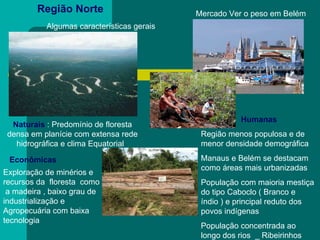 Região Norte   Algumas características gerais  Humanas Região menos populosa e de menor densidade demográfica  Manaus e Belém se destacam como áreas mais urbanizadas  População com maioria mestiça do tipo Caboclo ( Branco e  índio ) e principal reduto dos povos indígenas  População concentrada ao longo dos rios  _ Ribeirinhos  Mercado Ver o peso em Belém  Naturais   : Predomínio de floresta densa em planície com extensa rede hidrográfica e clima Equatorial  Econômicas  Exploração de minérios e  recursos da  floresta  como  a madeira , baixo grau de industrialização e Agropecuária com baixa tecnologia  
