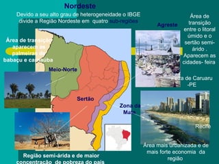 Devido a seu alto grau de heterogeneidade o IBGE divide a Região Nordeste em  quatro  sub-regiões Meio-Norte Sertão  Zona da Mata  Agreste   Nordeste  Área de transição entre o litoral úmido e o sertão semi-árido . Aparecem as cidades- feira  Área mais urbanizada e de mais forte economia  da região  Região semi-árida e de maior concentração  de pobreza do país   Área de transição aparecem as palmeiras de babaçu e carnaúba   Feira de Caruaru -PE Recife 