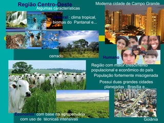 Região Centro-Oeste Natural  : clima tropical, biomas do  Pantanal e... cerrado Economia  com base na agropecuária com uso de  técnicas intensivas  Região com maior crescimento populacional e econômico do país  Moderna cidade de Campo Grande  População fortemente miscigenada  Humano  Possui duas grandes cidades planejadas : Brasília e... Goiânia  Algumas características  