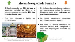 Ascensão e queda da borracha
 O Brasil respondia por 90% de toda a
produção mundial do látex, e o
produto chegou a representar 40% das
exportações do país.
 Com isso, Manaus e Belém se
modernizaram.
Teatro Amazonas, construído em 1886, em Manaus; símbolo do
período de riqueza durante o ciclo da borracha
 Os ingleses transplantaram mudas de
seringueiras para o atual Sri Lanka e
Cingapura, onde eram cultivadas em
grandes propriedades.
 No Brasil, permanecia crescendo
espontaneamente na floresta.
 Em 1919, as vendas brasileiras no
mercado externo não chegavam a
10% das exportações mundiais do
produto.
A borracha ocupa a Amazônia
 