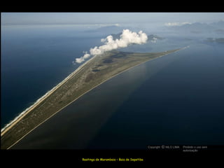 Restinga de Marambaia – Baia de Sepetiba Copyright  NILO LIMA Proibido o uso sem autorização c O 