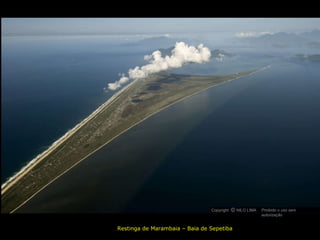 Restinga de Marambaia – Baia de Sepetiba Copyright  NILO LIMA Proibido o uso sem autorização c O 
