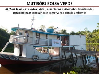 42,7 mil famílias de extrativistas, assentados e ribeirinhos beneficiadas
para continuar produzindo e conservando o meio ambiente
MUTIRÕES BOLSA VERDE
 