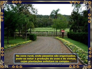 Na zona rural, onde passeios são organizados, pode-se notar a produção de uvas e de vinhos, cujas plantações enfeitam os campos... 