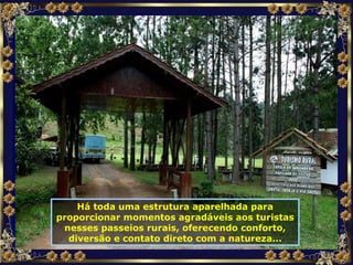 Há toda uma estrutura aparelhada para proporcionar momentos agradáveis aos turistas nesses passeios rurais, oferecendo conforto, diversão e contato direto com a natureza... 