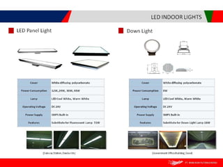 Brasindo presentation in english version