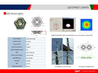Brasindo presentation in english version