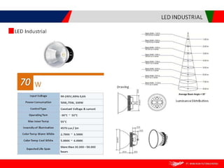 Brasindo presentation in english version