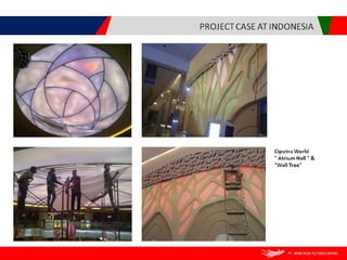 Brasindo presentation in english version