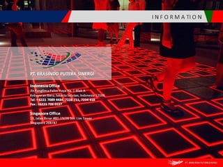 Brasindo presentation in english version